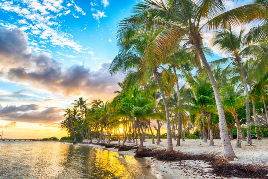 Visiter La Guadeloupe